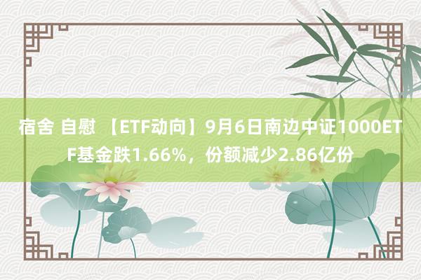 宿舍 自慰 【ETF动向】9月6日南边中证1000ETF基金跌1.66%，份额减少2.86亿份