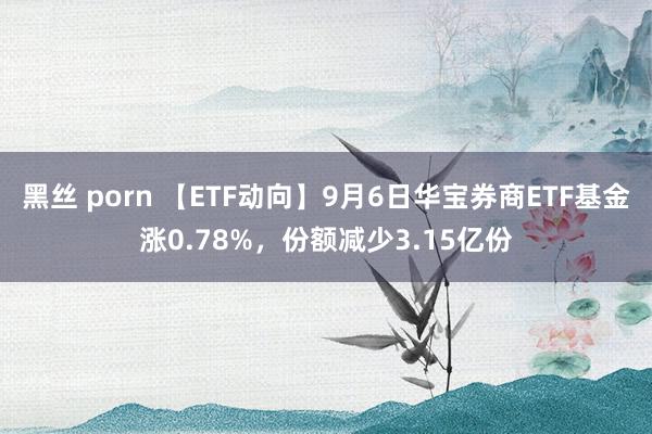 黑丝 porn 【ETF动向】9月6日华宝券商ETF基金涨0.78%，份额减少3.15亿份