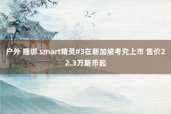 户外 捆绑 smart精灵#3在新加坡考究上市 售价22.3万新币起