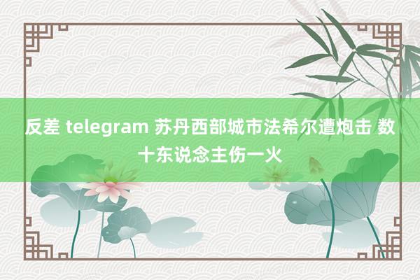 反差 telegram 苏丹西部城市法希尔遭炮击 数十东说念主伤一火