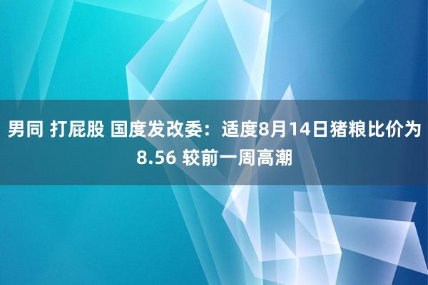 男同 打屁股 国度发改委：适度8月14日猪粮比价为8.56 较前一周高潮