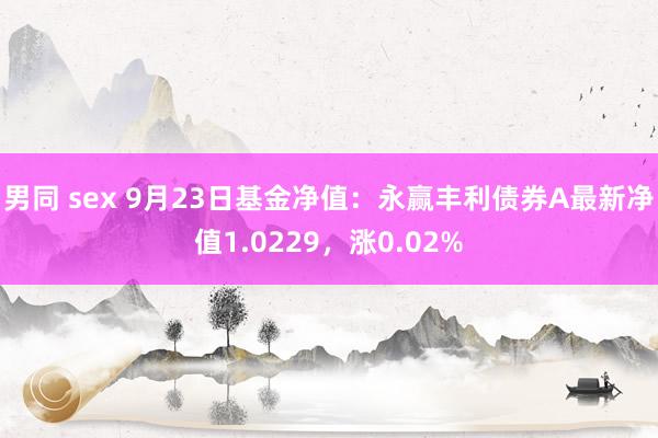 男同 sex 9月23日基金净值：永赢丰利债券A最新净值1.0229，涨0.02%