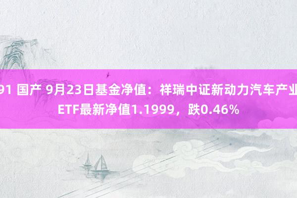 91 国产 9月23日基金净值：祥瑞中证新动力汽车产业ETF最新净值1.1999，跌0.46%