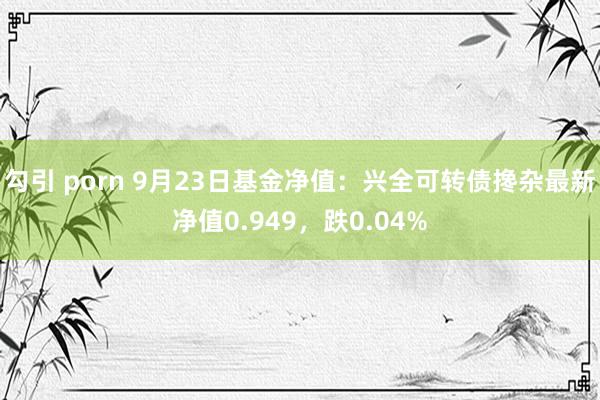 勾引 porn 9月23日基金净值：兴全可转债搀杂最新净值0.949，跌0.04%