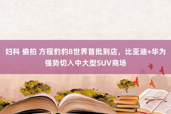 妇科 偷拍 方程豹豹8世界首批到店，比亚迪+华为强势切入中大型SUV商场