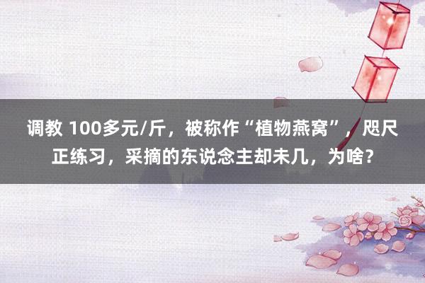 调教 100多元/斤，被称作“植物燕窝”，咫尺正练习，采摘的东说念主却未几，为啥？