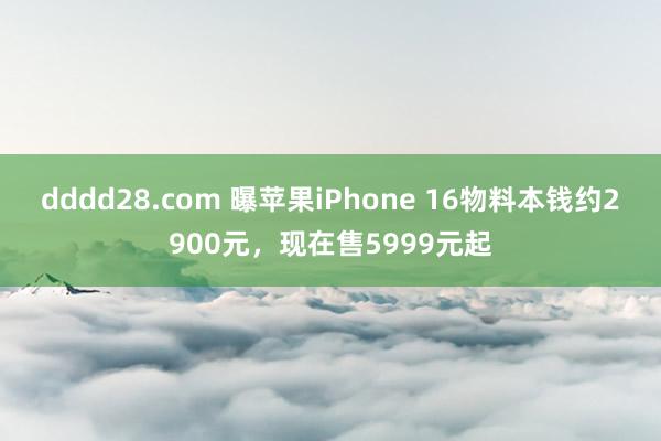 dddd28.com 曝苹果iPhone 16物料本钱约2900元，现在售5999元起