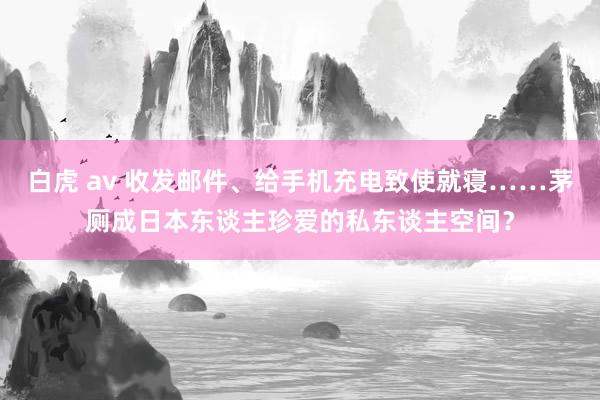 白虎 av 收发邮件、给手机充电致使就寝……茅厕成日本东谈主珍爱的私东谈主空间？