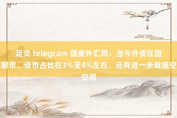 足交 telegram 国度外汇局：当今外资在国内股市、债市占比在3%至4%左右，还有进一步栽植空间