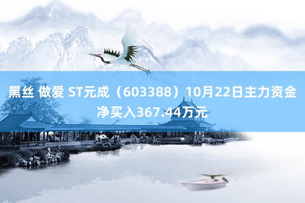 黑丝 做爱 ST元成（603388）10月22日主力资金净买入367.44万元