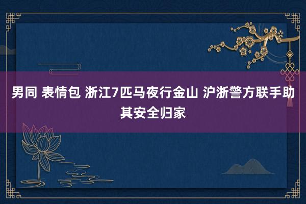 男同 表情包 浙江7匹马夜行金山 沪浙警方联手助其安全归家