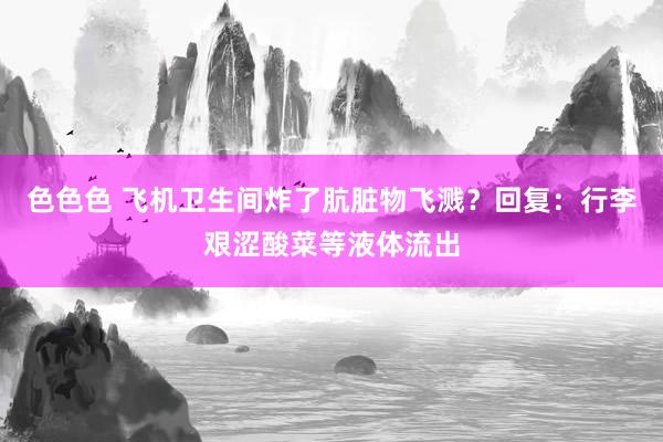 色色色 飞机卫生间炸了肮脏物飞溅？回复：行李艰涩酸菜等液体流出