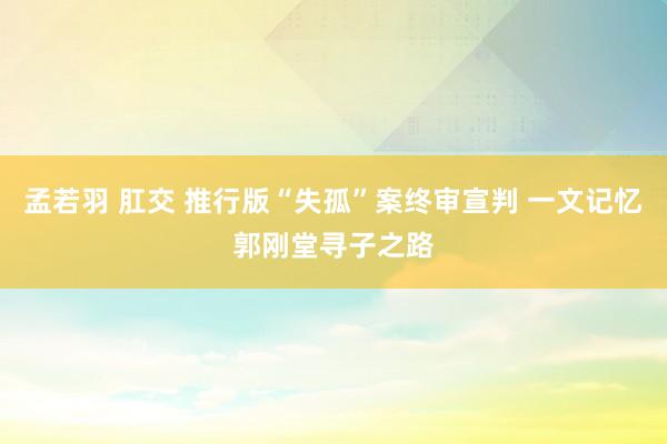 孟若羽 肛交 推行版“失孤”案终审宣判 一文记忆郭刚堂寻子之路