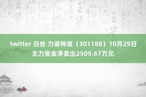 twitter 白丝 力诺特玻（301188）10月29日主力资金净卖出2509.67万元