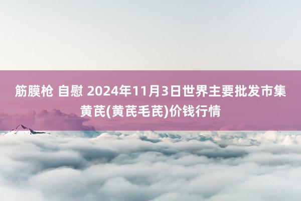 筋膜枪 自慰 2024年11月3日世界主要批发市集黄芪(黄芪毛芪)价钱行情