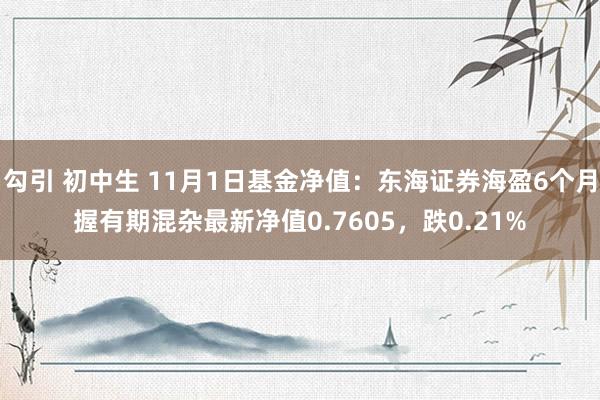 勾引 初中生 11月1日基金净值：东海证券海盈6个月握有期混杂最新净值0.7605，跌0.21%