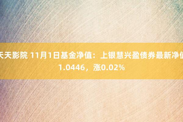 天天影院 11月1日基金净值：上银慧兴盈债券最新净值1.0446，涨0.02%