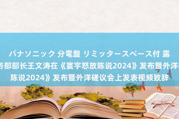 パナソニック 分電盤 リミッタースペース付 露出・半埋込両用形 商务部部长王文涛在《寰宇怒放陈说2024》发布暨外洋磋议会上发表视频致辞