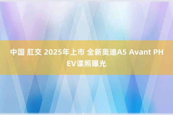 中国 肛交 2025年上市 全新奥迪A5 Avant PHEV谍照曝光