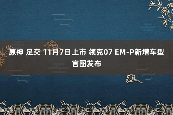 原神 足交 11月7日上市 领克07 EM-P新增车型官图发布