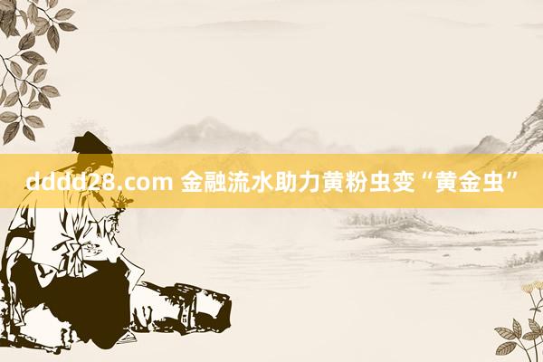 dddd28.com 金融流水助力黄粉虫变“黄金虫”