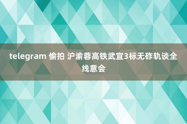 telegram 偷拍 沪渝蓉高铁武宜3标无砟轨谈全线意会