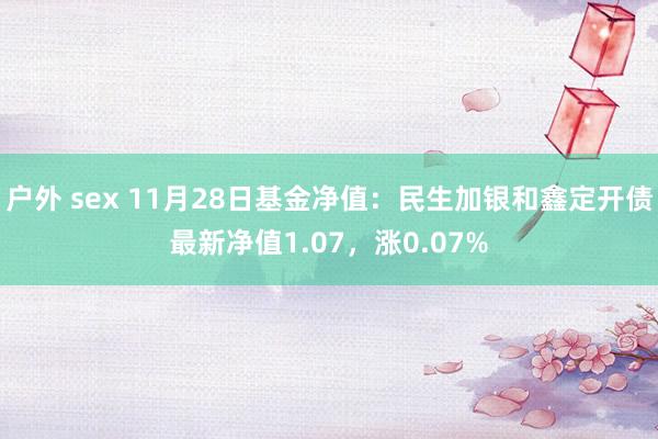 户外 sex 11月28日基金净值：民生加银和鑫定开债最新净值1.07，涨0.07%