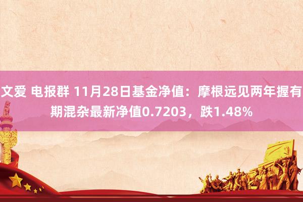 文爱 电报群 11月28日基金净值：摩根远见两年握有期混杂最新净值0.7203，跌1.48%