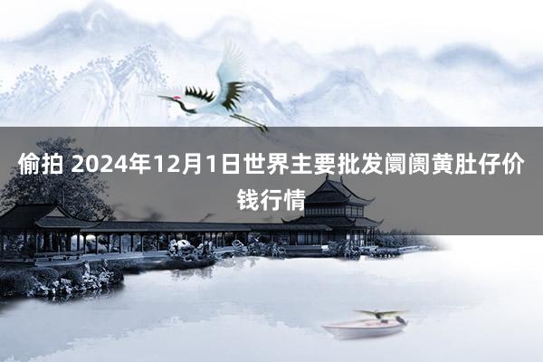 偷拍 2024年12月1日世界主要批发阛阓黄肚仔价钱行情