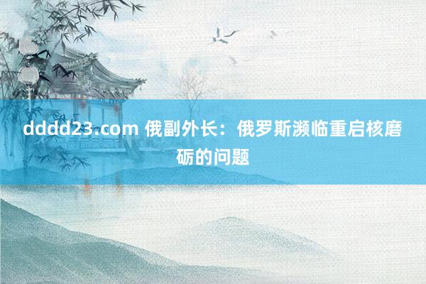 dddd23.com 俄副外长：俄罗斯濒临重启核磨砺的问题