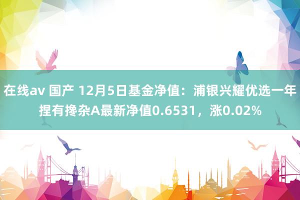 在线av 国产 12月5日基金净值：浦银兴耀优选一年捏有搀杂A最新净值0.6531，涨0.02%