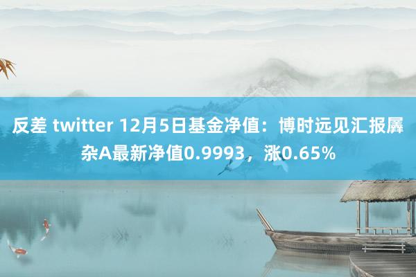 反差 twitter 12月5日基金净值：博时远见汇报羼杂A最新净值0.9993，涨0.65%