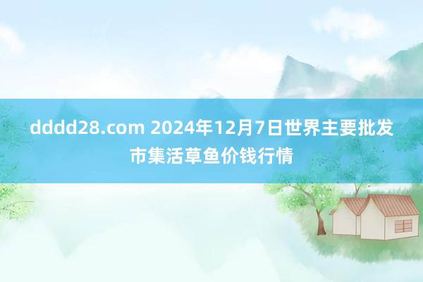 dddd28.com 2024年12月7日世界主要批发市集活草鱼价钱行情