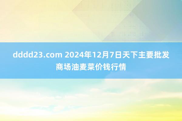 dddd23.com 2024年12月7日天下主要批发商场油麦菜价钱行情