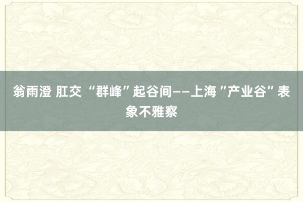 翁雨澄 肛交 “群峰”起谷间——上海“产业谷”表象不雅察