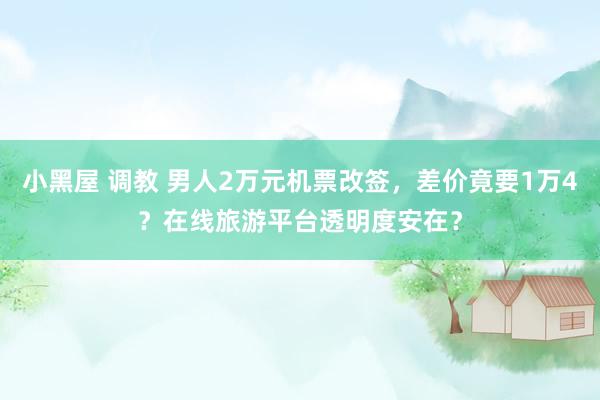 小黑屋 调教 男人2万元机票改签，差价竟要1万4？在线旅游平台透明度安在？