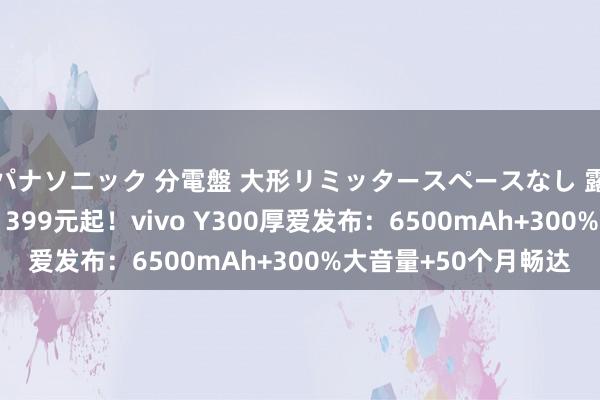 パナソニック 分電盤 大形リミッタースペースなし 露出・半埋込両用形 1399元起！vivo Y300厚爱发布：6500mAh+300%大音量+50个月畅达