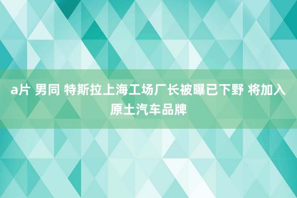 a片 男同 特斯拉上海工场厂长被曝已下野 将加入原土汽车品牌