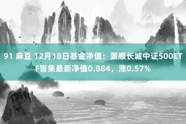 91 麻豆 12月18日基金净值：景顺长城中证500ETF皆集最新净值0.884，涨0.57%