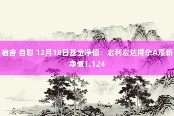 宿舍 自慰 12月18日基金净值：宏利宏达搀杂A最新净值1.124