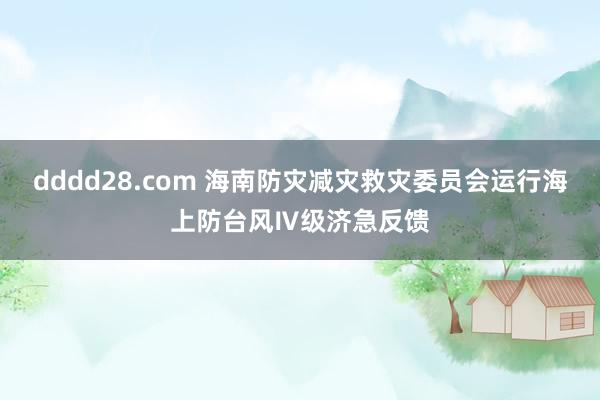 dddd28.com 海南防灾减灾救灾委员会运行海上防台风Ⅳ级济急反馈