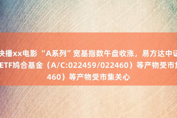 快播xx电影 “A系列”宽基指数午盘收涨，易方达中证A500ETF鸠合基金（A/C:022459/022460）等产物受市集关心