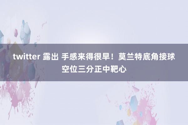 twitter 露出 手感来得很早！莫兰特底角接球空位三分正中靶心