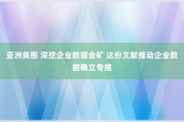 亚洲美图 深挖企业数据金矿 这份文献推动企业数据确立专揽