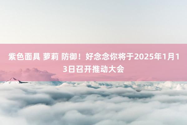 紫色面具 萝莉 防御！好念念你将于2025年1月13日召开推动大会