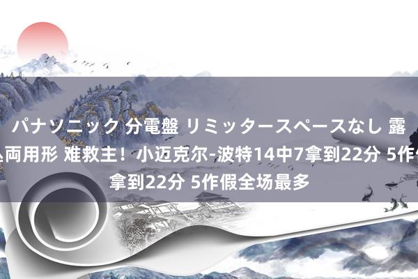 パナソニック 分電盤 リミッタースペースなし 露出・半埋込両用形 难救主！小迈克尔-波特14中7拿到22分 5作假全场最多