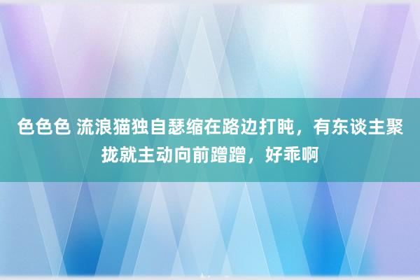 色色色 流浪猫独自瑟缩在路边打盹，有东谈主聚拢就主动向前蹭蹭，好乖啊