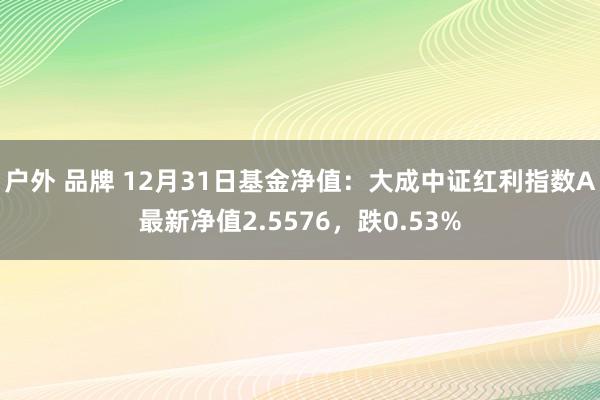 户外 品牌 12月31日基金净值：大成中证红利指数A最新净值2.5576，跌0.53%