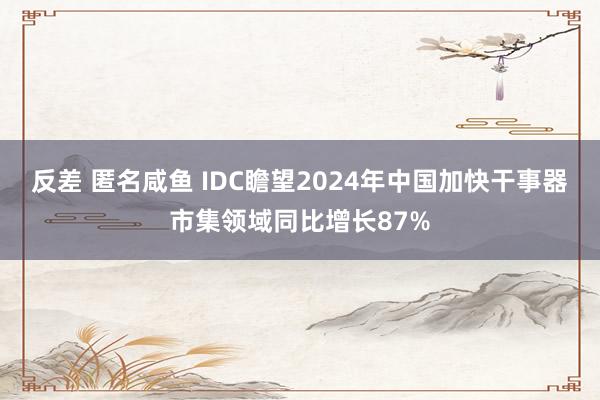 反差 匿名咸鱼 IDC瞻望2024年中国加快干事器市集领域同比增长87%