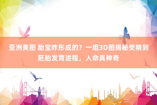 亚洲美图 胎宝咋形成的？一组3D图揭秘受精到胚胎发育进程，人命真神奇